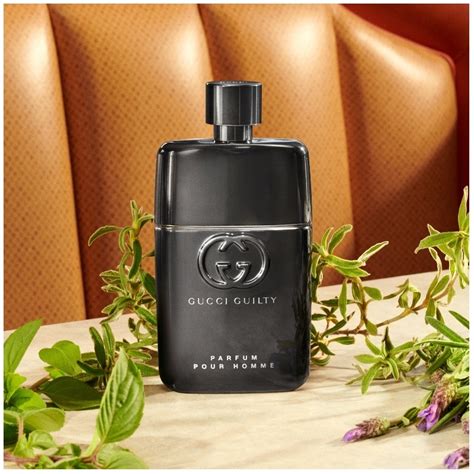 free gucci guilty fragrance sample|Gucci Guilty pour homme fragrantica.